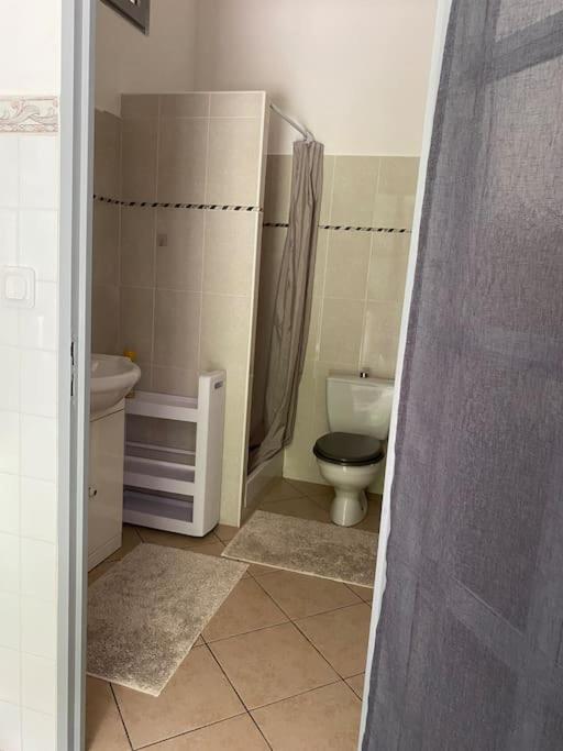 Villa Serenice - F2 Au Calme, Climatise, Wifi Et Parking Gratuit Exterior foto